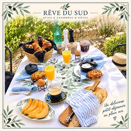 Bed and breakfast Reve Du Sud Near Carcassonne -pool-jacuzzi-breakfast